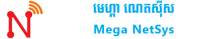 MegaNetSys